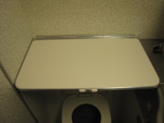 ����ĸ���ʳ��������֡�