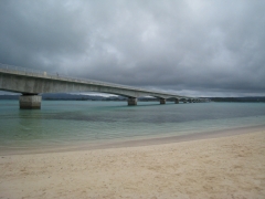 �ű����綶