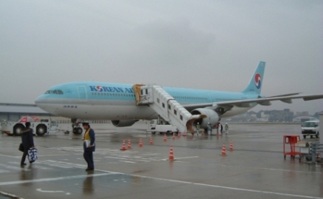 �������塼��